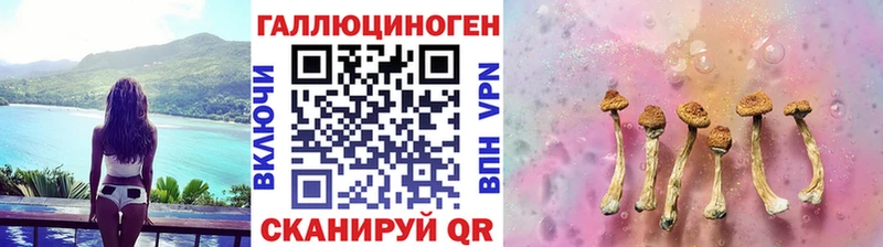 продажа наркотиков Спас-Деменск Галлюциногенные грибы прущие грибы